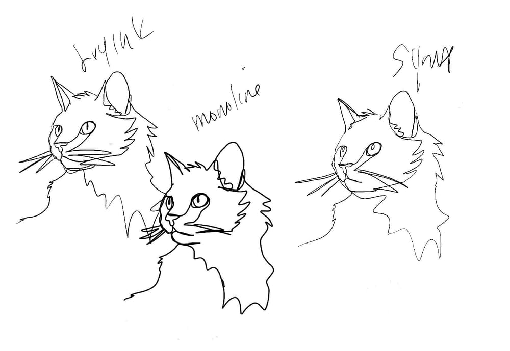 Cat - image 1 - student project