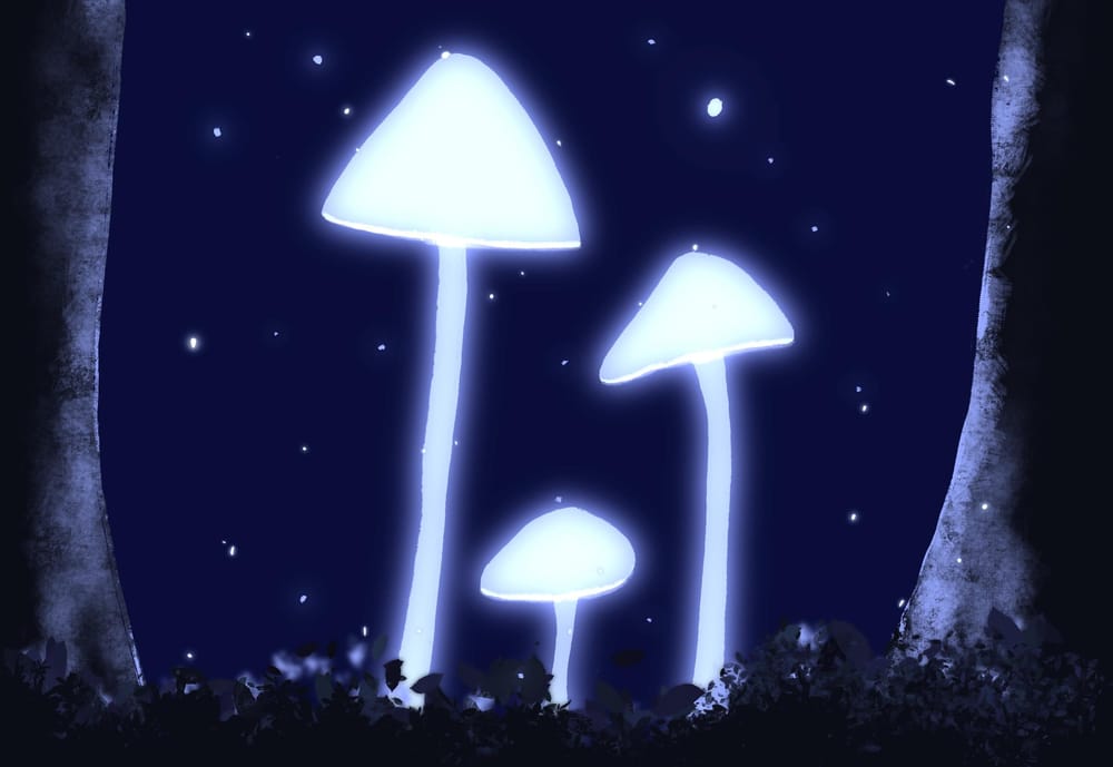 Glow - image 1 - student project