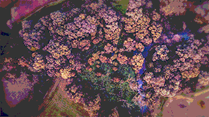 Animated Slideshow! - image 1 - student project
