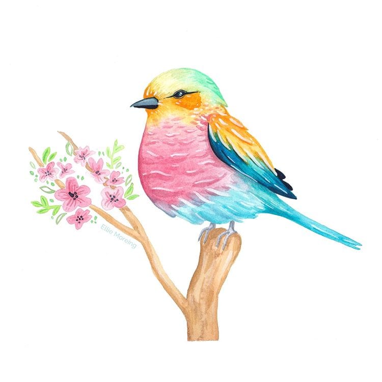 Whimsical Watercolour Birds - image 2 - student project