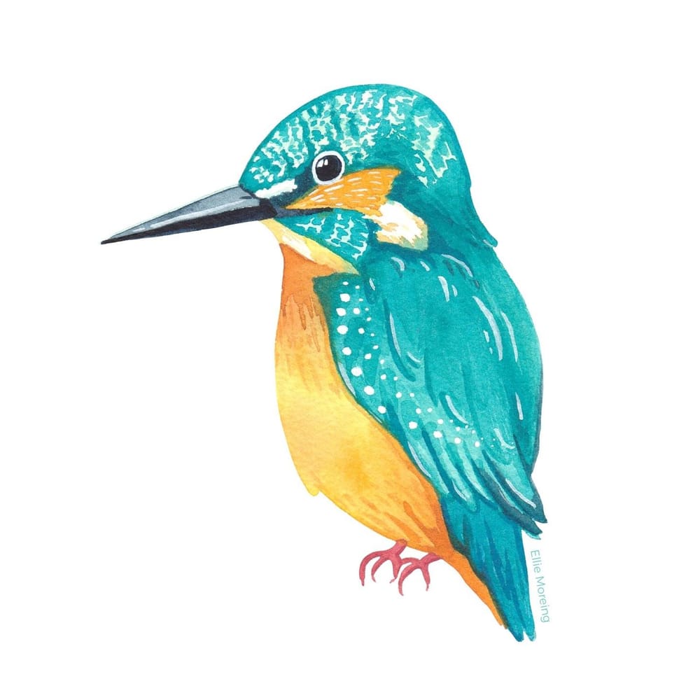 Whimsical Watercolour Birds - image 3 - student project