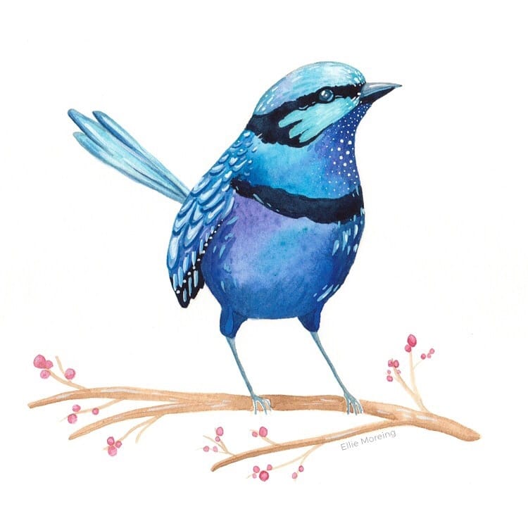 Whimsical Watercolour Birds - image 1 - student project