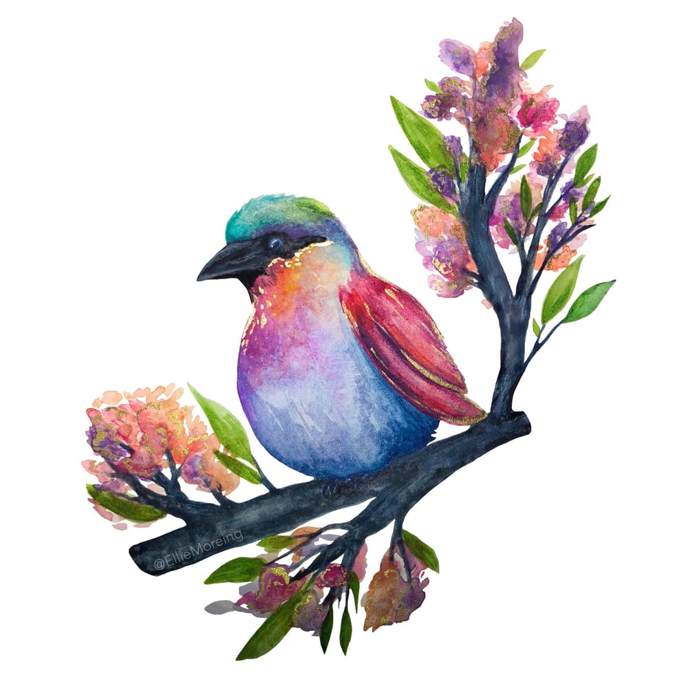 Watercolour Bird - image 1 - student project