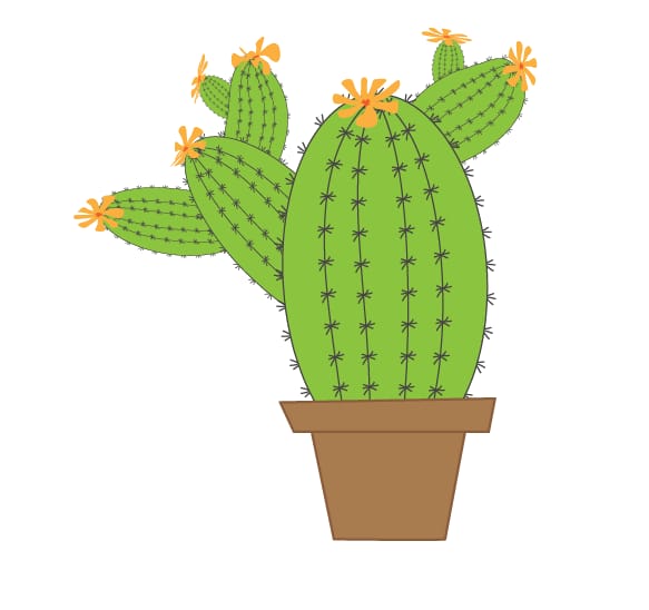 Cacti - image 3 - student project