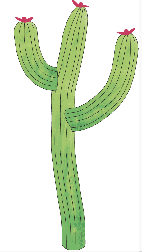 Cacti - image 2 - student project