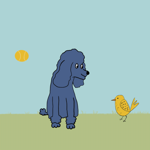 Procreate Animations - image 4 - student project