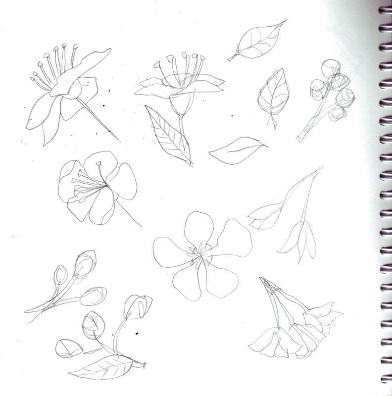 3 Patterns in 3 Weeks - Spring Tea in Shangai - image 3 - student project