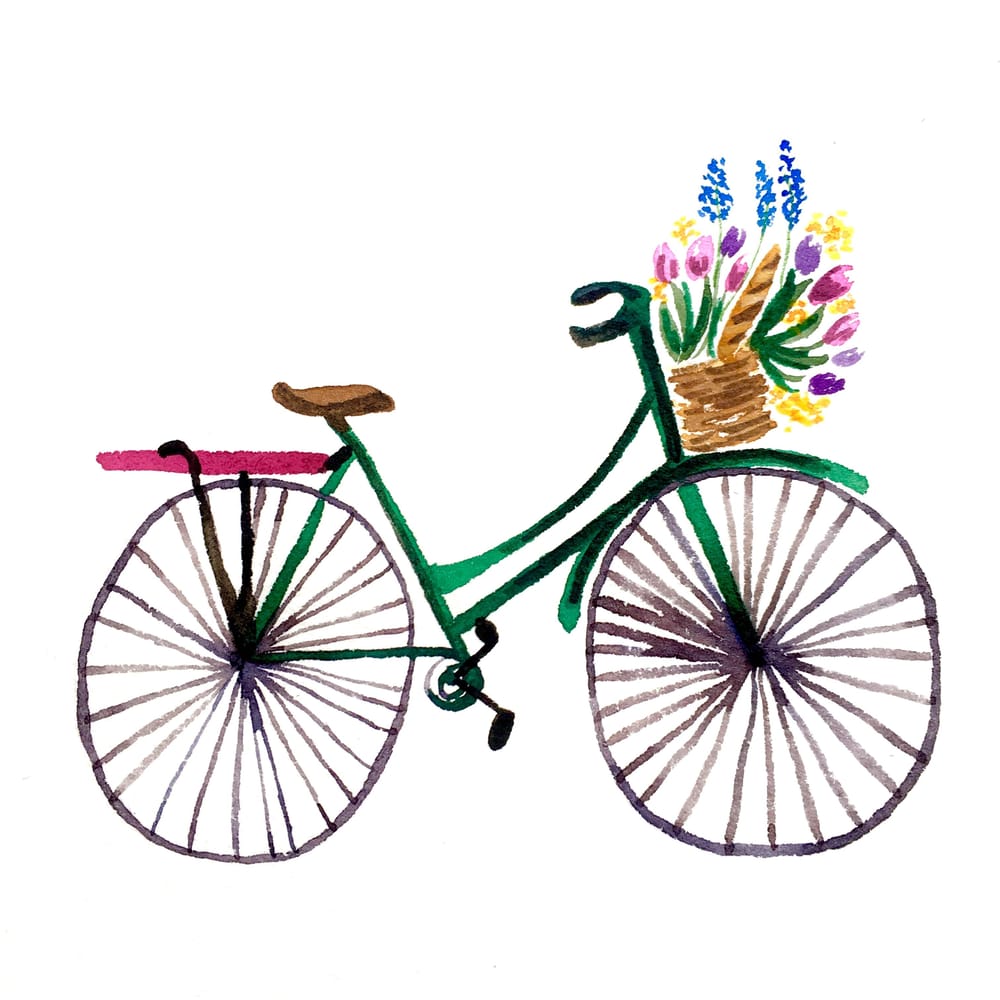 Watercolor Bicycle with Flower Basket - image 2 - student project