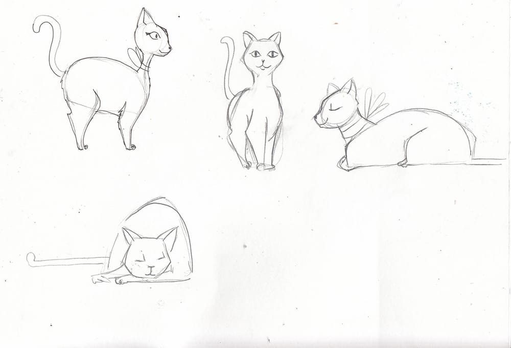 My cute cats - image 2 - student project