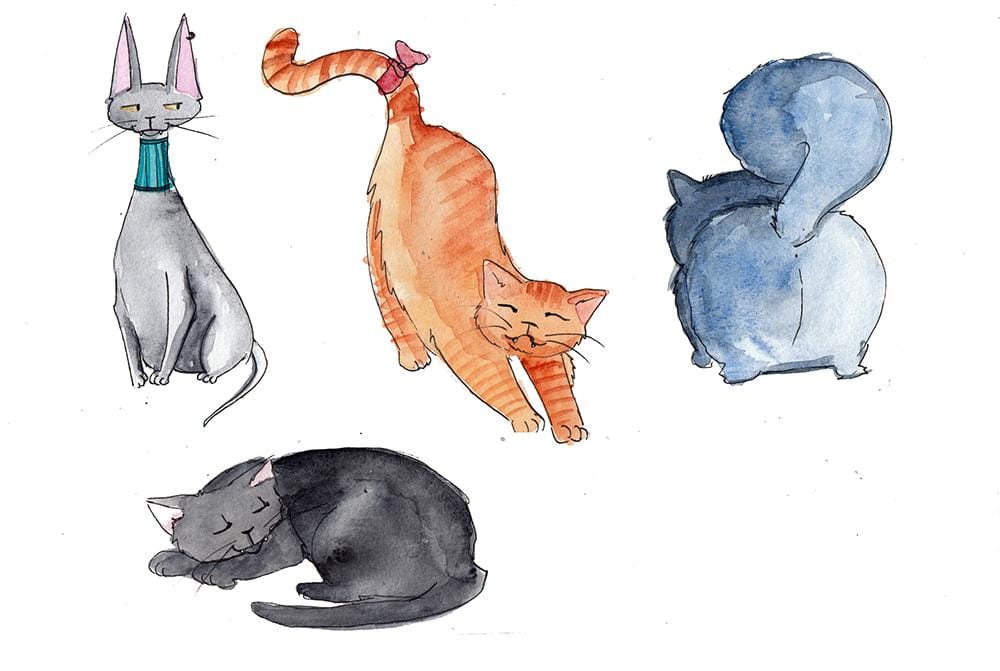 My cute cats - image 6 - student project