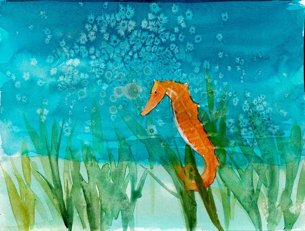 Sea life - image 3 - student project