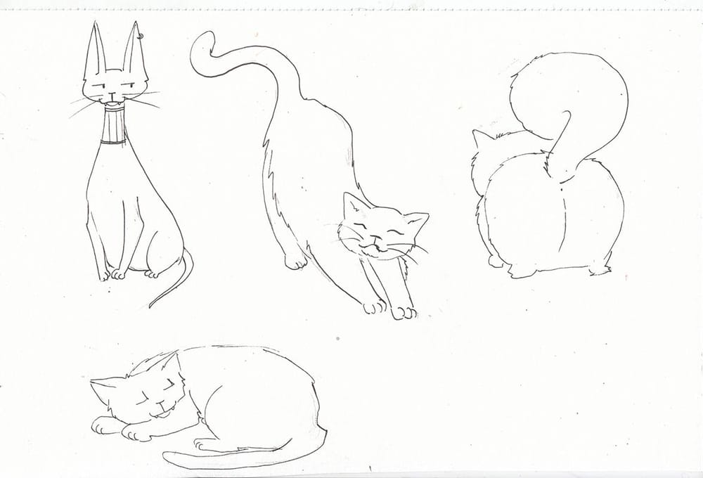 My cute cats - image 5 - student project