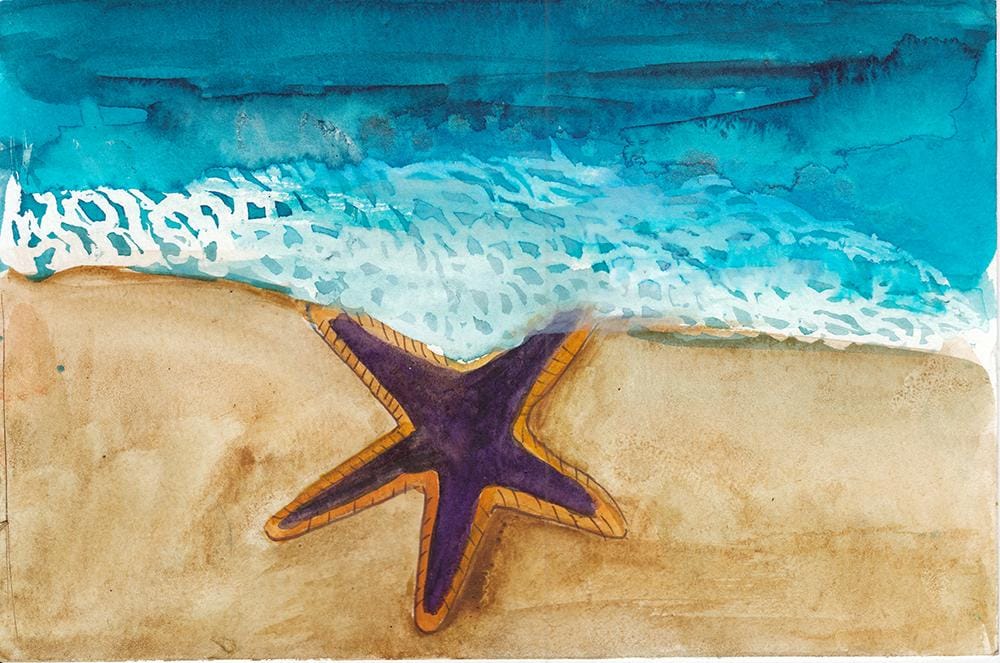 Sea life - image 1 - student project