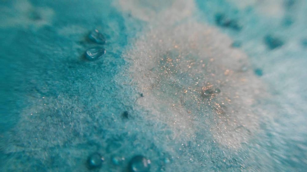 Sea life - image 5 - student project