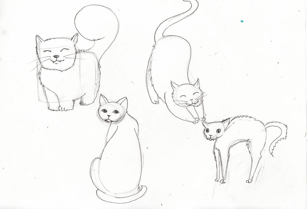 My cute cats - image 4 - student project