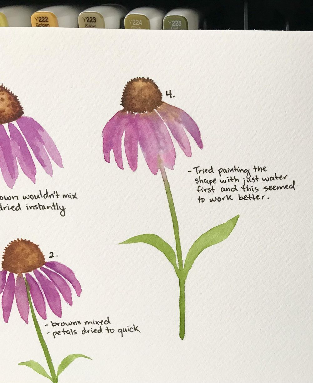 Project #2 Coneflower - image 2 - student project