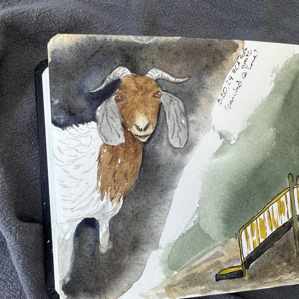 "Travel" sketchbook spread with Natura Illustrata - image 3 - student project
