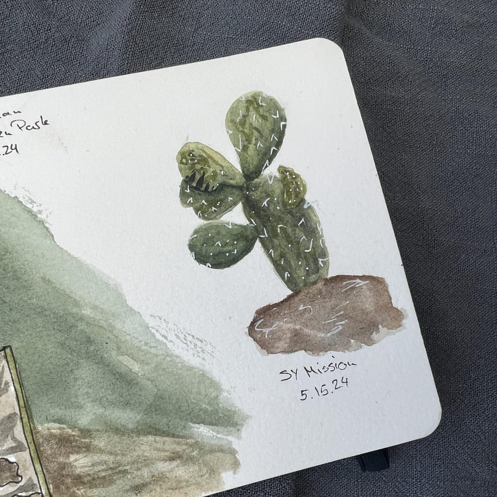 "Travel" sketchbook spread with Natura Illustrata - image 1 - student project