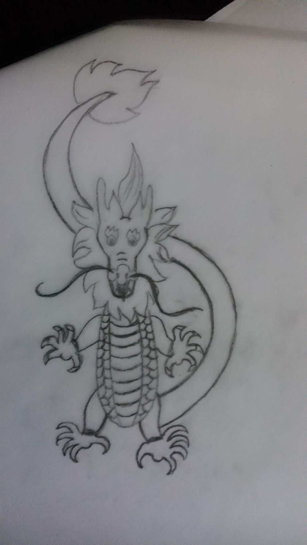 Asian Dragon - image 3 - student project