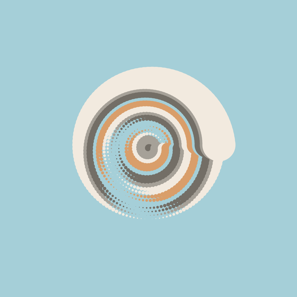 Polar Eye - image 1 - student project