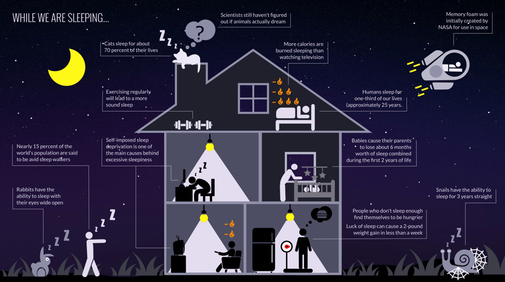 While we are sleeping - A narrative infographic about sleep - image 5 - student project