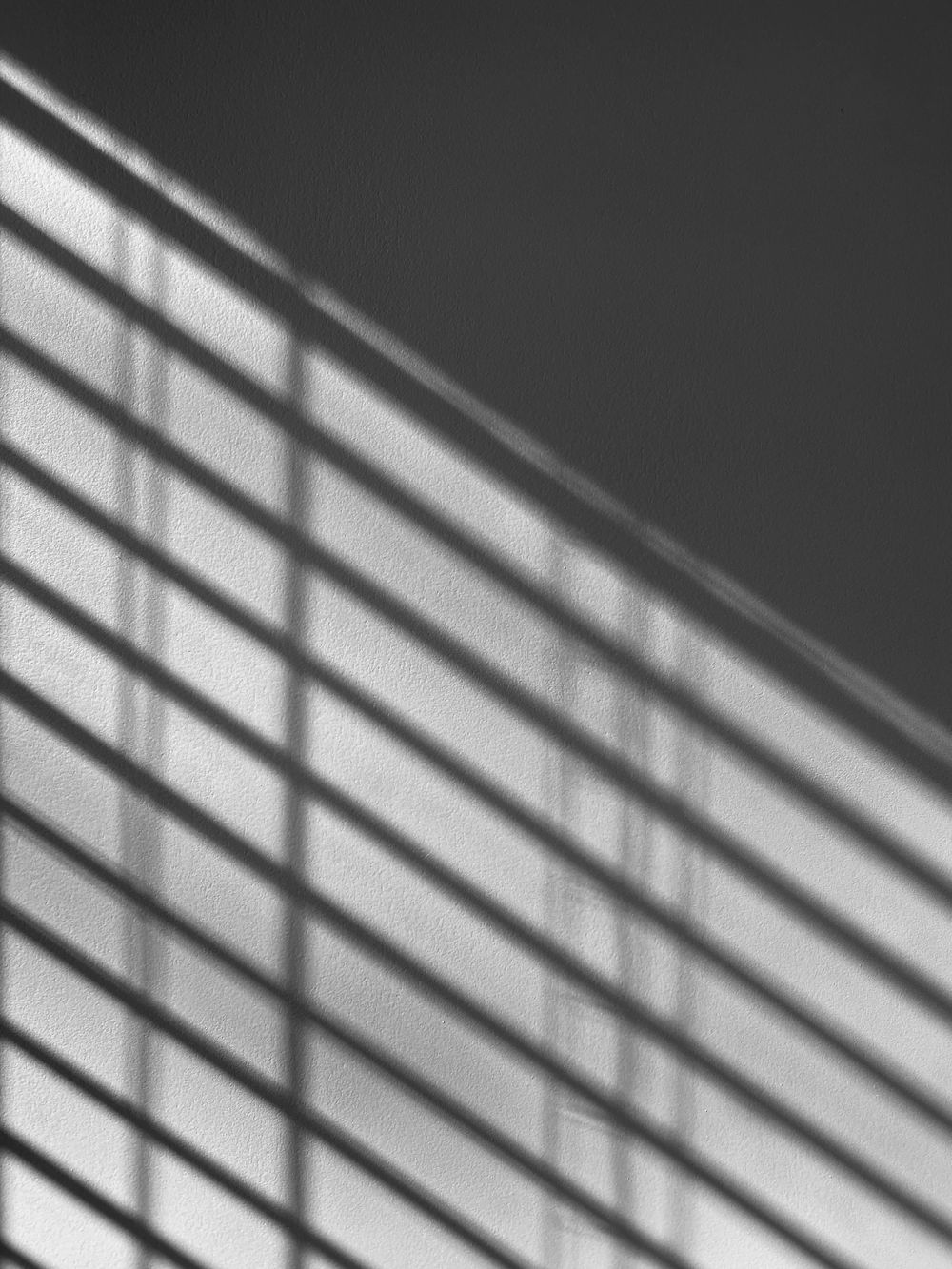 Lesson 5 - image 1 - student project