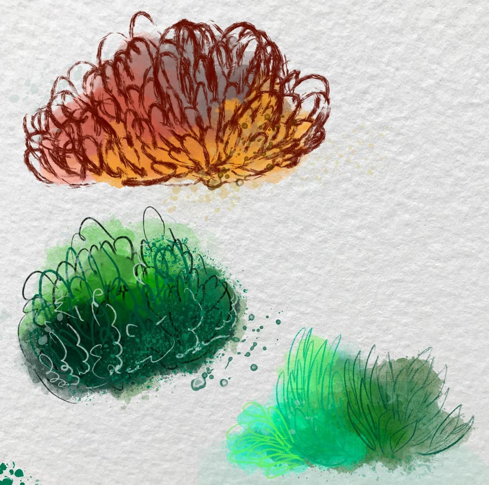Watercolor plants - image 2 - student project