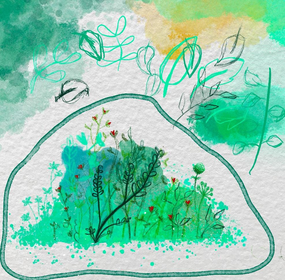 Watercolor plants - image 1 - student project