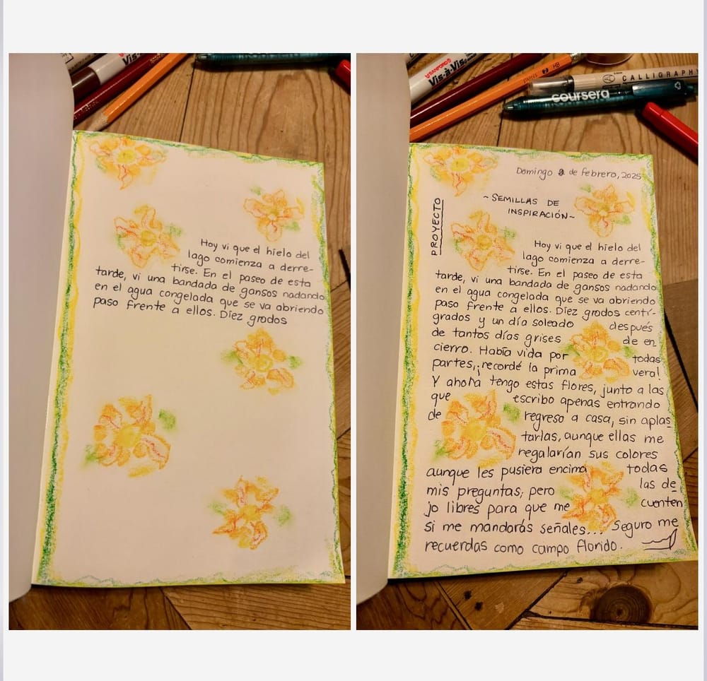 Semillas de inspiración - image 3 - student project