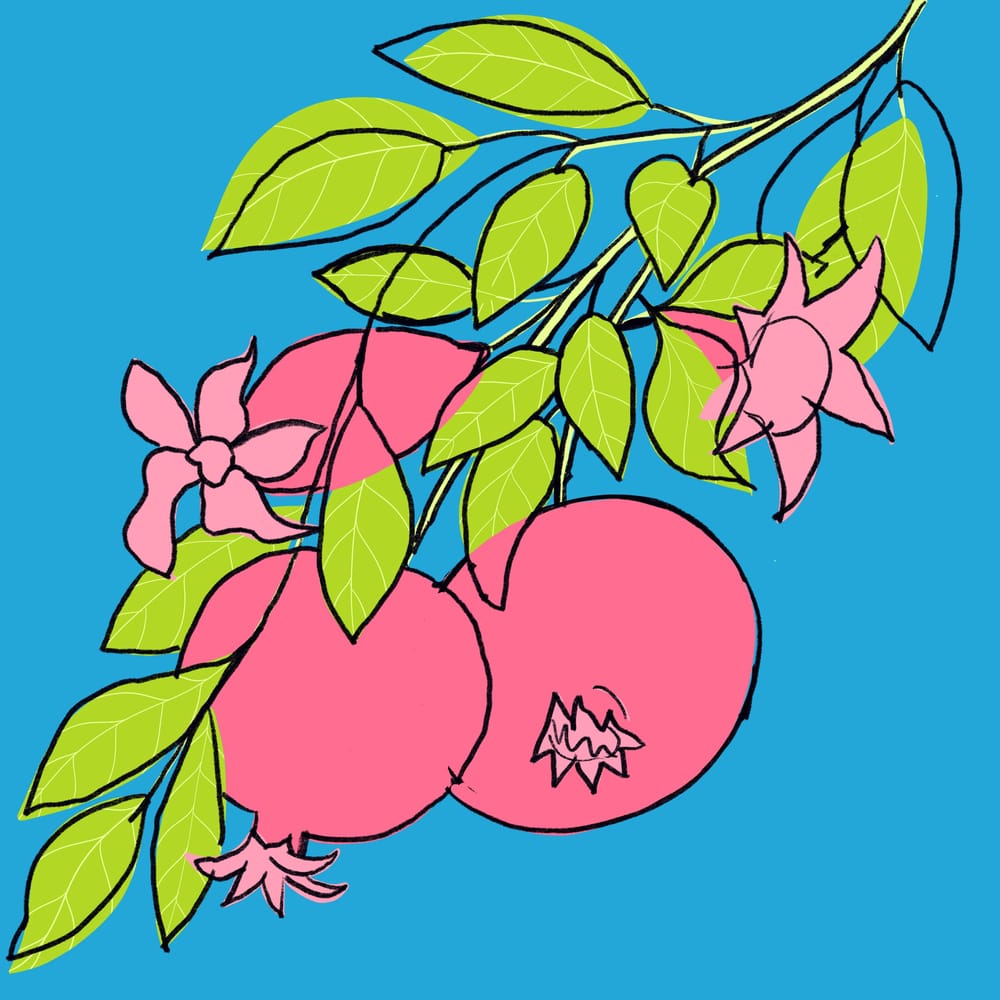 Textured pomegranates - image 2 - student project