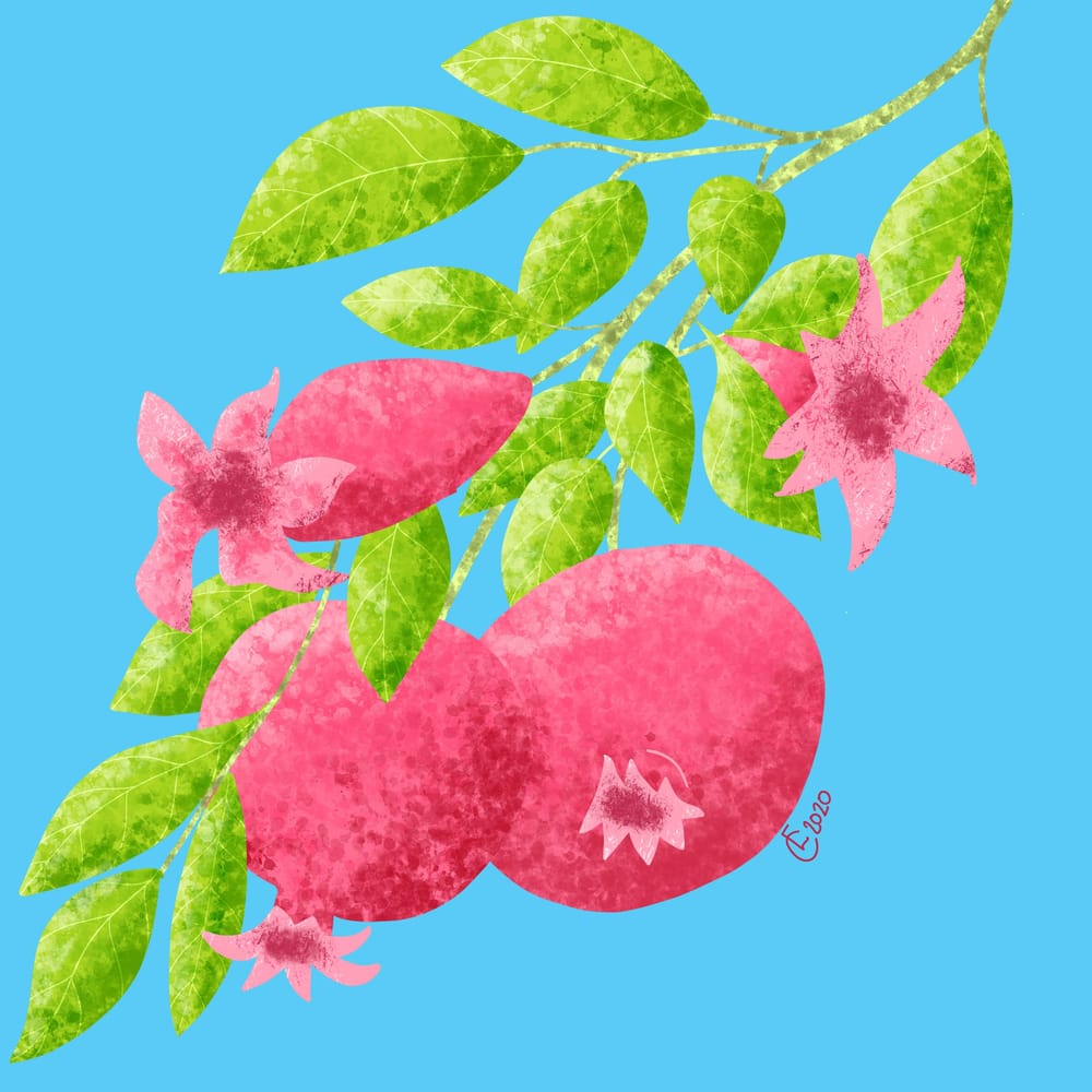 Textured pomegranates - image 1 - student project