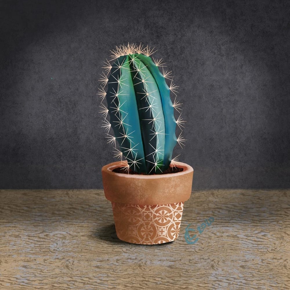 Cacti! - image 1 - student project