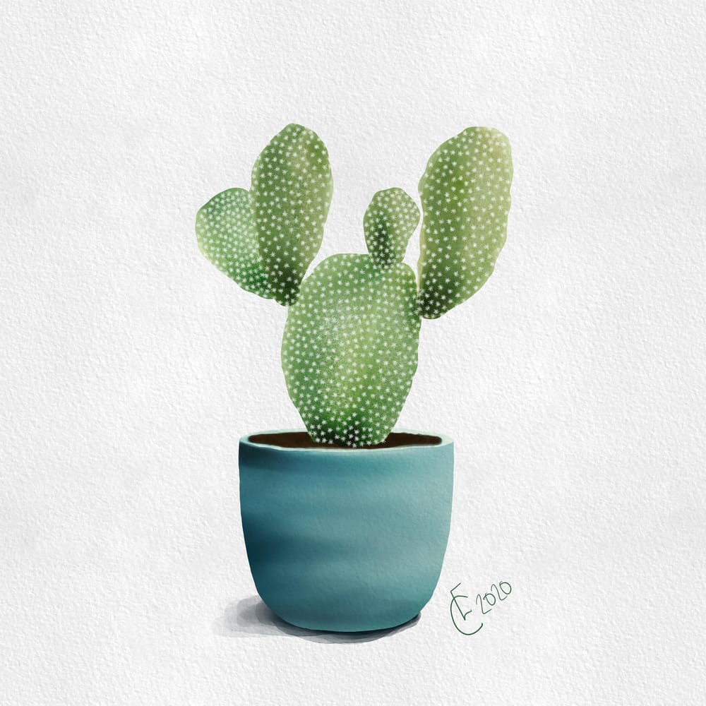 Cacti! - image 2 - student project