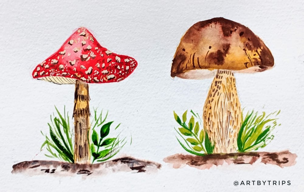 Love Mushrooms :-) - image 7 - student project