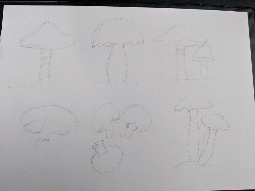 Love Mushrooms :-) - image 1 - student project