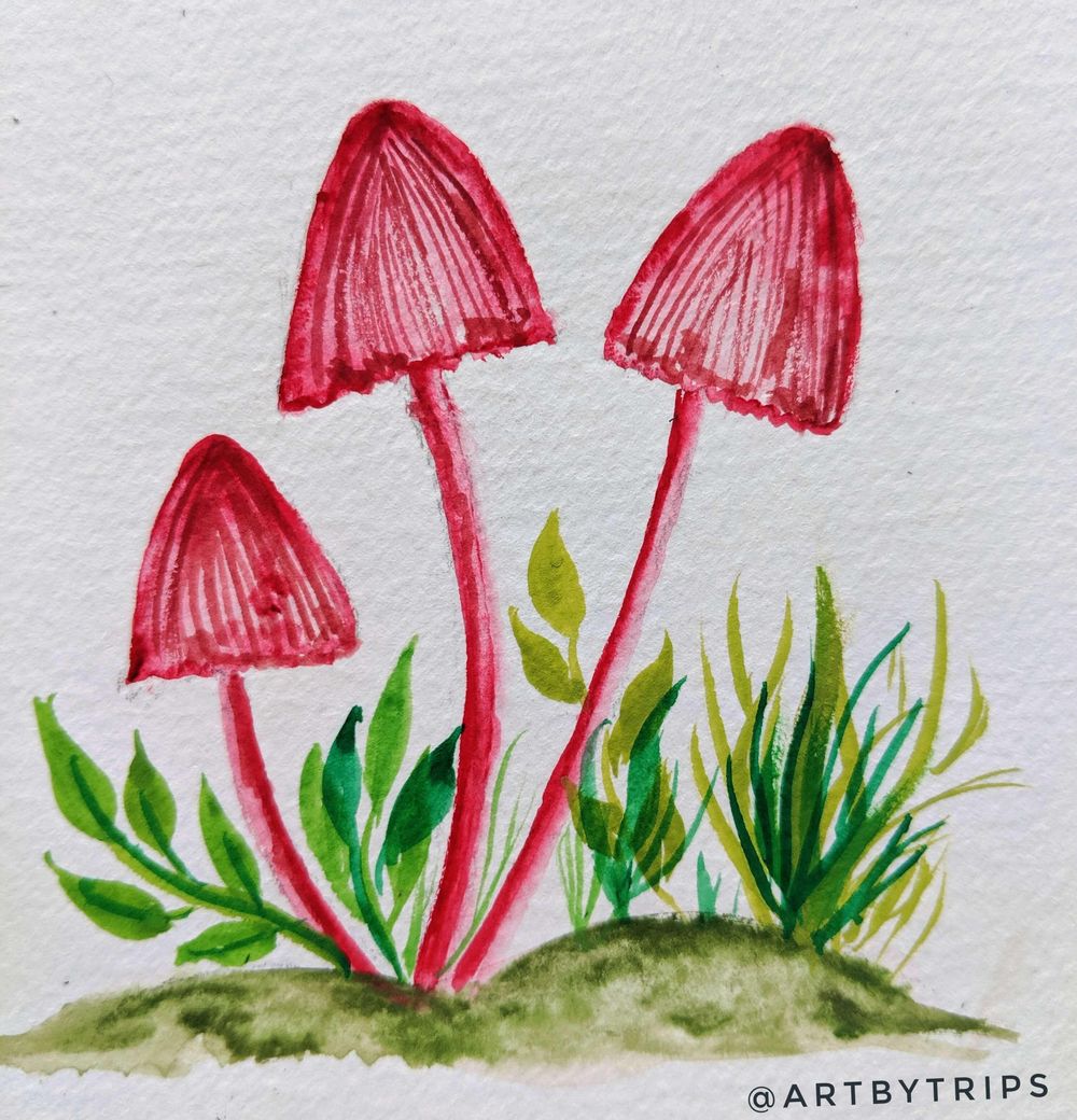 Love Mushrooms :-) - image 6 - student project