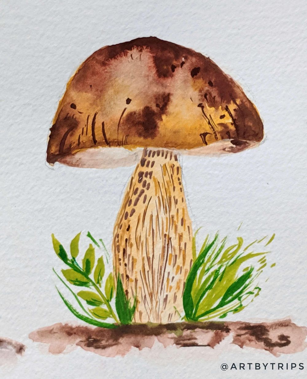 Love Mushrooms :-) - image 5 - student project