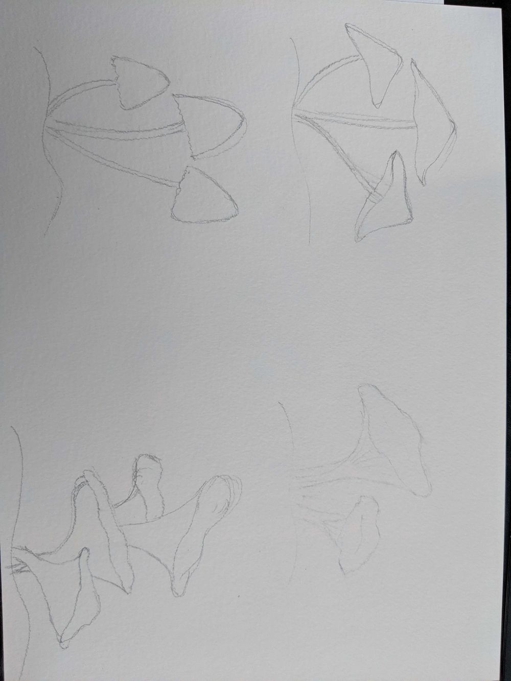 Love Mushrooms :-) - image 2 - student project