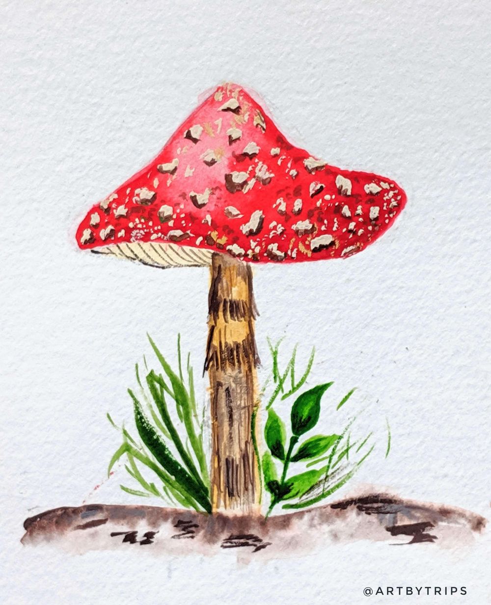 Love Mushrooms :-) - image 4 - student project
