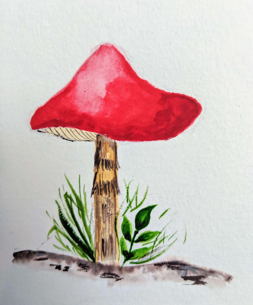 Love Mushrooms :-) - image 3 - student project