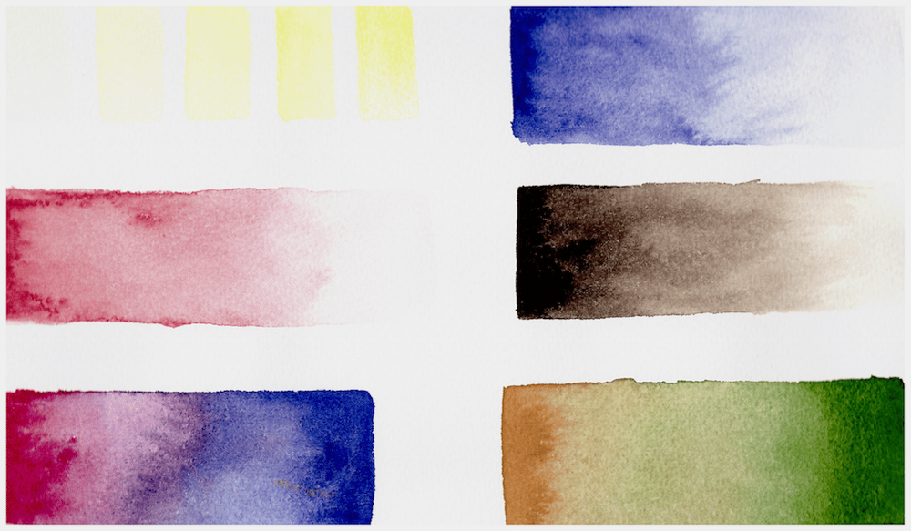 Watercolor projects - image 1 - student project