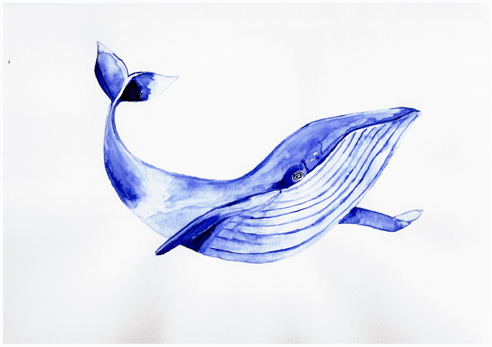 Watercolor projects - image 3 - student project