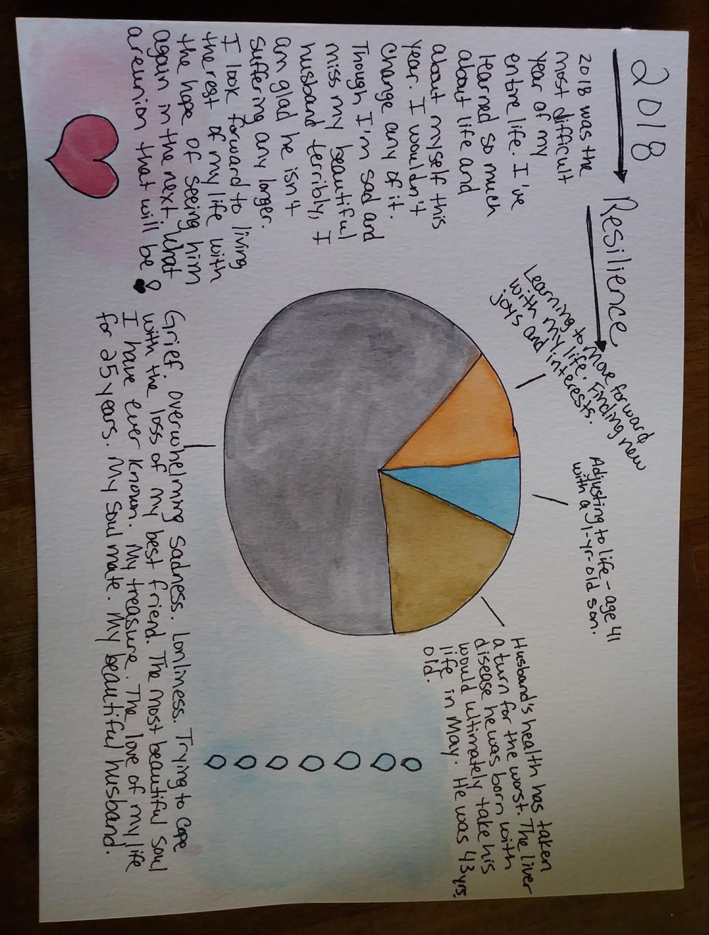 2018 Resilience Pie Chart - image 1 - student project