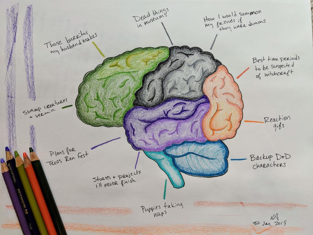 Brain Contents | Skillshare Student Project