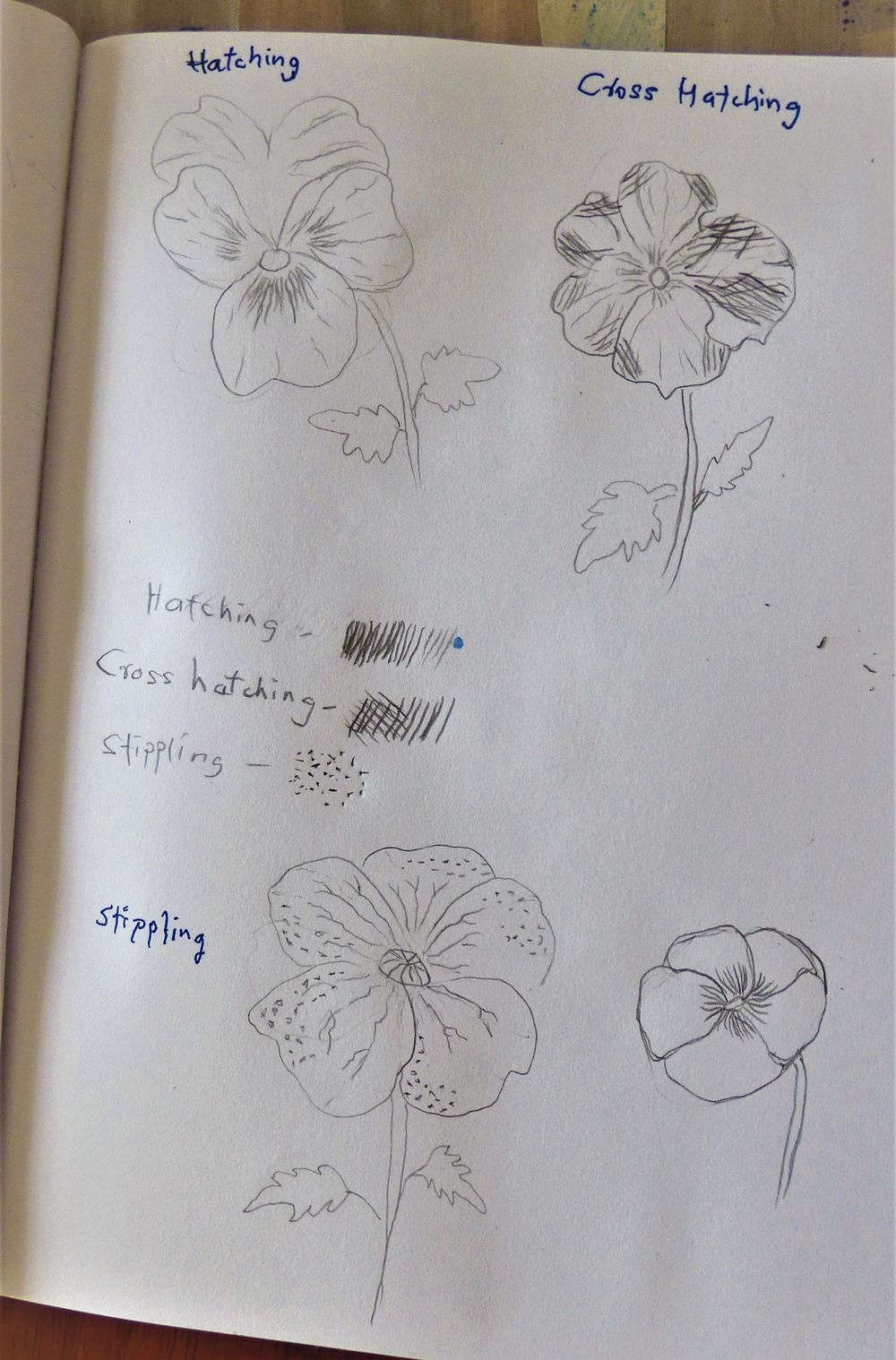 Floral Drawing - image 1 - student project