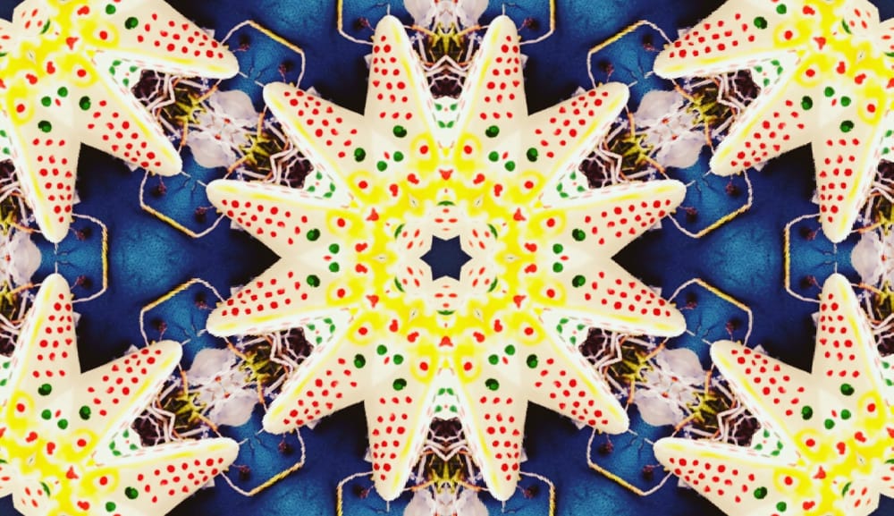 7 days of relaxation and fun - image 7 - student project