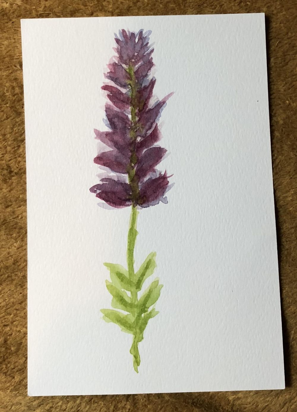 Rosemary, Rose and Lavender - image 3 - student project