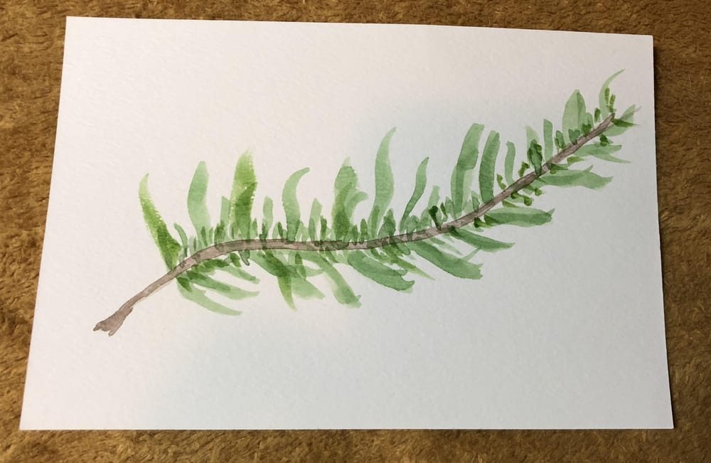 Rosemary, Rose and Lavender - image 1 - student project