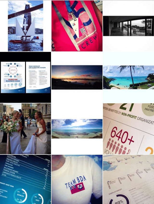 Need help promoting my work on Instagram | @rhi_fox - image 4 - student project