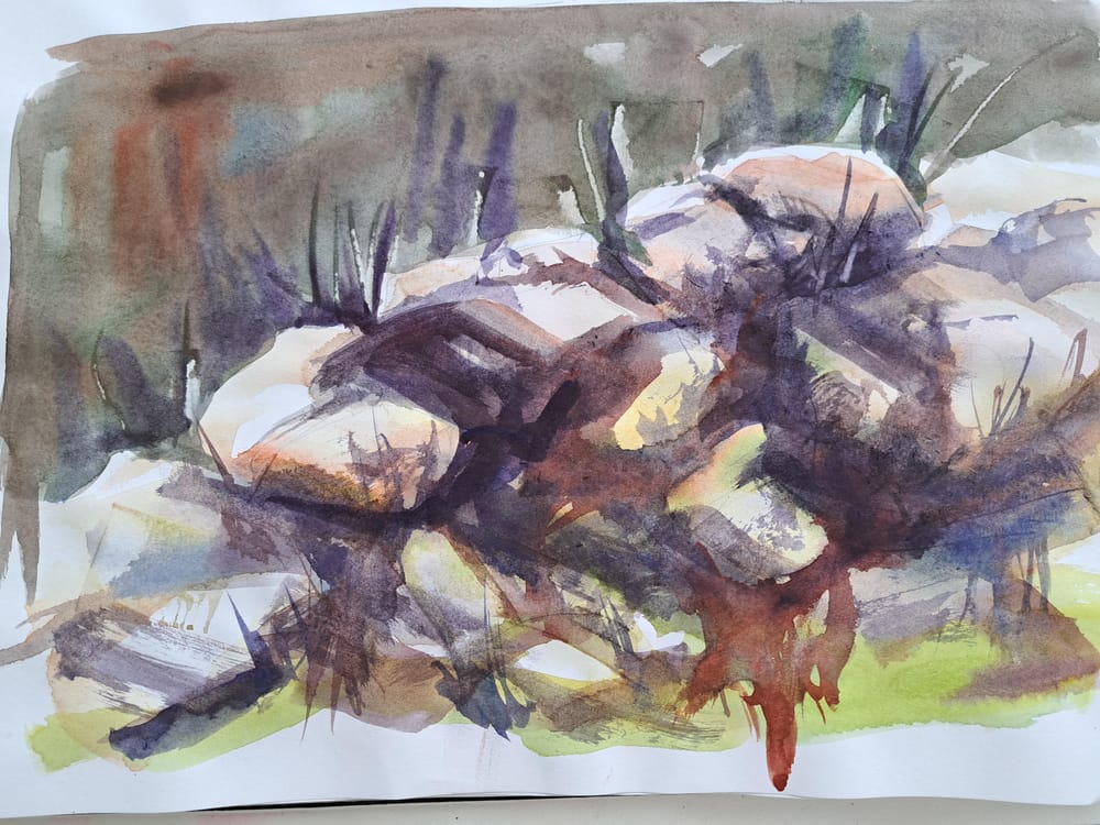 Grass and rocks - image 1 - student project